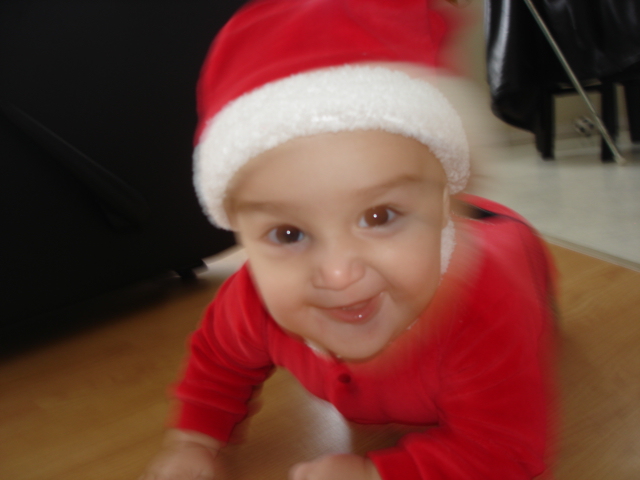 Santa's little helper