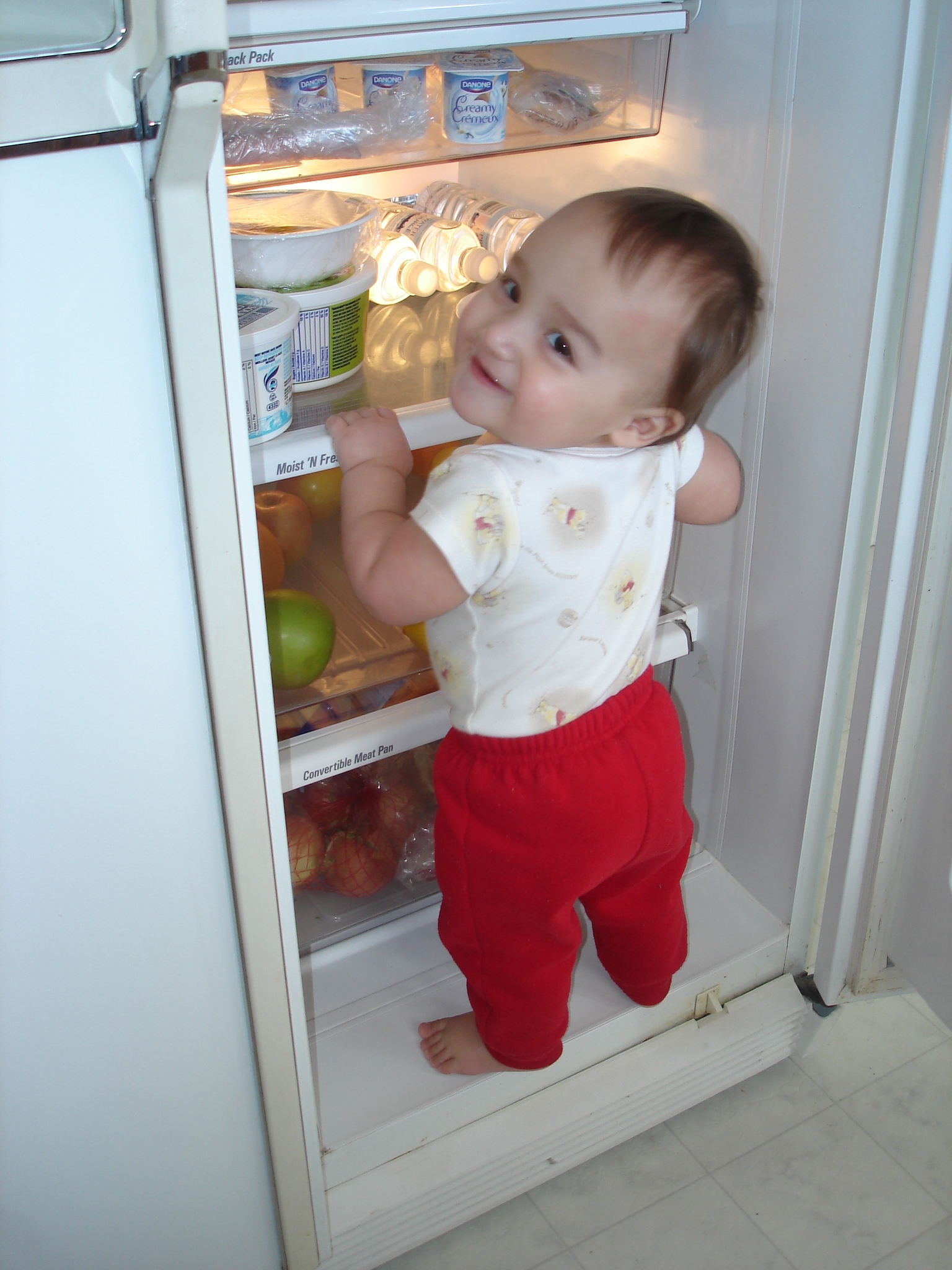 In the Fridge